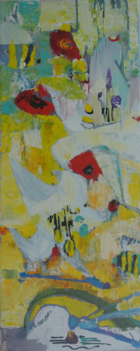 20x50
